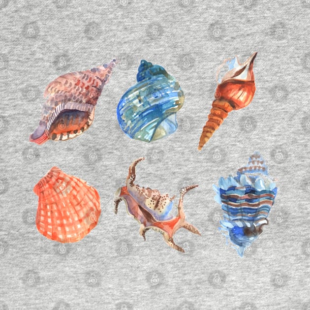 Shell Collection by Mako Design 